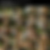 Veronica Da Souza (Denisa Keltnerova) Video Pack thumbnail
