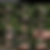 [ALSScan.com] Liz Jordan - Sweet Nectar BTS [2021-03-15, Solo, Masturbation, Finger Spreading, Brunette, Small Tits, Photoshoot, Outdoor, Object Insertion, Pigtails, Jumping Jacks, Distortion, Shorts, Teen, 1080p, SiteRip] thumb