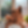 [MySweetApple.com / ManyVids.com] MySweetApple - Sex and Squirt in the Hot Tub [2023 ., All Sex, Blowjob, Brunette, POV, Kissing, Deep Throat, Couples, Masturbation, Cumshot, SiteRip, 1080p] thumb