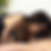 [Erito.com] Virgins Catch Teacher Masturbating [Uncen] [2019 ., Facial,Blowjob,Face Sitting,Pussy Fingering,Pussy Licking,Titty Fuck,Doggystyle,Missionary,Pile Driving,Reverse Cowgirl,Scissoring, 1080p] thumb