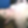 [PrivateSociety.com] Cindy Lou - Some Quick Anonymous Fucking (08-02-2023) [2023 ., Amateur, Gonzo, Hardcore, All Sex, HDRip, 1080p] thumb