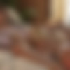 [newsensations.com] A Beautiful Lesbian Seduction Of Giselle And Lexi [17.11.03] thumb