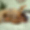 [DeepLush.com] Vanna Bardot (Treat Me Right) [18.03.2020, All Sex, Cum Shot, Blowjob, Doggystyle, Missionary, Cowgirl, Small Tits, Natural Tits, 720p] thumb