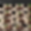 BigAssTease - Full SiteRip thumbnail