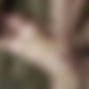 [Hushpass.com / JamesDeen.com] Aiden Starr - Aiden Starr: Sorority Fuck Fest Part 2 (17.12.2020) [2020 ., Orgy, Group Sex, Gonzo, Hardcore, All Sex, 720p] thumb