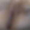 [ManyVids] Chanel Frost - Bred By My BBC My First Creampie!! thumb