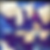 [scandalbeauties] - Mchristina minipack | 20clips | 57 pcs - Empornium Exclusive thumbnail