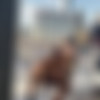 [Onlyfans.com] AntonHarden - BTS With Ashley Lane [2021-10-30, Amateur, BBC, Big Cock, Doggystyle, Interracial, Natural Tits, Straight, 1080p, SiteRip] thumb