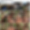 [DigitalPlayground.com] Katrina Jade - American Whore Story Episode One (05.10.2020) [2020 ., Big Tits, Gonzo, Hardcore, All Sex, 1080p] thumb