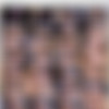 [BlackedRaw.com] Lika Star, Angelika Grays (Sweet Revenge) [18.05.2020, Blonde, Blowjob, Rimming, Pussy Licking, Doggystyle, Missionary, Reverse Cowgirl, Riding, Stockings, Lingerie, Face Sitting, Facial, Cum Shot, 720p] thumb