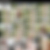 [NetVideoGirls.com / NVG Network]Ava ( Omg The Latest Nvg)[2022, Gonzo, Hardcore, All Sex 576p] thumb