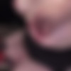 hucows.com - hucow.38 red cow milker thumb