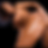 Lisa Ann Part 2 Megapack thumb