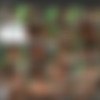 [3rd-art.com] 99 Videos - 3darlings - Huge 3D Boobs thumbnail