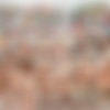 TeamSkeet.com / DaughterSwap.com - Lust For Luau - Mae Milano & Mackenzie Mace - 2160p thumb