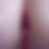 WakeUpNFuck E354 Darcy Dark 2160p MP4-NBQ thumb
