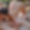 [Angels.Love] Evelin Elle, Molly Devon - Lucky Star [2023, All Sex, Blonde, Brunette, Blowjob, Masturbation FFM, Threesome, Outdoor, POV, Pussy licking, Teen, Shaved pussy, Small tits, Hardcore, 1080p, SiteRip] thumb