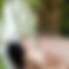 Arrow Marzetti (arrowmarzetti) [SuicideGirls.com] [2021-2023] [solo, posing, multi] [3413x5120 - 8256x11008, 315 , 6 ] thumbnail