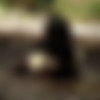 [MudPuddleVisuals.com / TropicalShotsMedia.com / ClubMPV.com / QuicksandVisuals.com] MegaPack [253 ] (MPV) [1995-2017 ., Fetish, Wam, Mud, Clay, QuickSand, Nude, Lesbian, SiteRip] thumbnail
