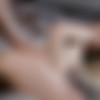 [DogHouseDigital.com] Braylin Bailey - Creamed Teens 3 (18.01.2023) [2023 ., Teen, Gonzo, Hardcore, All Sex, Creampie, 1080p] thumb
