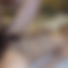 Amateur - Female college student Miyu-chan (Summer special price!! Please experience the splendor of Miyu-chan.) / A large amount of vaginal cum shot with a female college student Miyu wearing a costume! Overflowing seeds like a waterfall!! [FC2-PPV-889994 + 900992] (FC2.com) [uncen] [2018 ., Amateur, Cosplay, Sex Toys, Anal Plug, Straight, Creampie, HDRip] [720p] thumb