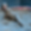 1,300+ Wet And Messy images: Collection from Messy Fetish. thumb