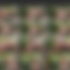 [InTheCrack.com] - Every single peeing scene through Episode 1229. thumb