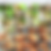 No Swallowing Allowed 15 - (2008) - QTGMC 60fps + AI Upscale 1080p + x265 thumb