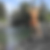 [InTheCrack.com] Demi Lopez - #1688 [2021-05-20, Solo, Close ups, Masturbation, Outdoor, 720p] thumb