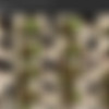 BigAssTease - Full SiteRip thumbnail