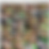 [puzzyfun.com] Linda del Sol (Yes and the next insemination party for Linda del Sol) [2023-02-09, Blow Job, Fucking, Gangbang] [720p] thumb