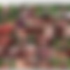 [BeautyAndTheSenior.com] Lolly Gartner thumbnail