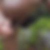 [Watch4Beauty.com] Sofi Vega (Loving Experiments) [2021-01-11, Solo, Masturbation, Anal, Sex Toy, Outdoors, 2160p] thumbnail