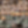 www.devonshireproductions.com :: Movie Megapack (135 Movies/Partials) thumb
