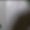 Stripper Hoe Gets a Creampie – Ariana Aimes thumb