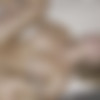 [NewSensations.com] Kate Dalia - Kate Dalia Dines On Her Room Service Instead [2023-04-18, Blonde, Blowjob, Cowgirl, Cunnilingus, Deep Throat, Doggystyle, Facial, MILF, 4K, 2160p, SiteRip] thumb