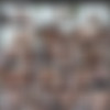[pornbox] - [ye] - 2024.03.26 - Sereia Ninfo - 'Brazilian Beauty ...' - [1080p] thumb