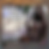 SexyFur Siterip thumbnail