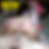 [MidwestFreaks.com] - MWF #680-728 - MegaPack [December 30, 2022 - June 25, 2023] [720p] thumb