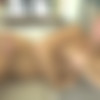 [Producersfun.com] Braylin Bailey - A Fucking Conversation (17-01-2023) [2023 ., Facial, BJ, POV, Gonzo, Hardcore, All Sex, HDRip, 1080p] thumbnail