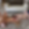 [FreeUseMilf.com / MYLF.com] Aubree Valentine, Alexis Malone - Smile for the Freeuse Camera [2024-02-23, Feature, Hardcore, All Sex, Threesome, MILF, 1080p, SiteRip] [rus] thumb