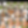 [NetVideoGirls.com / NVG Network] Nadi( Omg The Latest Nvg)[2023, Gonzo, Hardcore, All Sex 576p] thumb
