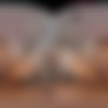 [VRHush.com] Chloe Amour - Breakfast Can Wait [10.04.2024, Brunette, Cowgirl, Cum In Mouth, Cumshot, Facial, Hardcore, Kissing, Latina, MILF, Natural Tits, Petite, POV, Reverse Cowgirl, Shaved, Standing Missionary, Virtual Reality, SideBySide, 8K, 3840p, SiteRip] [Oculus Rift / Quest 2 / Vive] thumb