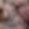 [ALT / CherryPimps.com] Penny Archer - Wild Whimpering Until She Cums [2021.07.21, All Sex, All Natural, Blowjob, Cow Girl, Doggy Style, Lingerie, Real Tits, Red Head, Reverse Cow Girl, Shaved, Small Tits, Tattoos, 720p] thumb