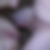 [puzzyfun.com] Venom Evil (Yeah and the next gangbang with the divinely perverted Venom Evil) [2022-09-19, Anal Sex, Blow Job, Gangbang] [548p] thumb