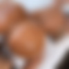 [Onlyfans.com] Hayley Davies - HOT OILY POV FUCKING ft POVGOD [2023-08-31, Big Ass, Blowjob, Creampie, Gonzo, POV, Australian, 1080p, SiteRip] thumb