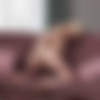 [Karups.com / KarupsPC.com] Xene - Secret admirer [23-07-2023, Teen, Young, Brunette, Small Tits, Slim/Slender body, Natural Tits, Beauty, Perfect body, 1080p, SiteRip] thumb