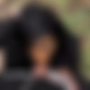 [PublicAgent.com / FakeHub.com] Asia Rae (Perfect Ebony Booty Bouncing) [13.02.2020, All Sex, Leggings, Tank Top, Medium Ass, Cumshot Clean-Up, Facial, Tattoo, Athletic, Ebony, Handjob, Blowjob, Deep Throat, Face Fuck, Pussy Fingering, Spanking, Outdoors, Average Body, Doggystyle, Reverse Cowgirl, Medium Tits, Natural Tits, 720p] thumb