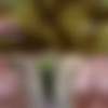 [PinupFiles.com] Maria Body - Big Plums - Lap Dance 2 [2023-11-24, Big Natural Tits, 1080p, SiteRip] thumb