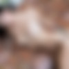 Arrow Marzetti (arrowmarzetti) [SuicideGirls.com] [2021-2023] [solo, posing, multi] [3413x5120 - 8256x11008, 315 , 6 ] thumbnail